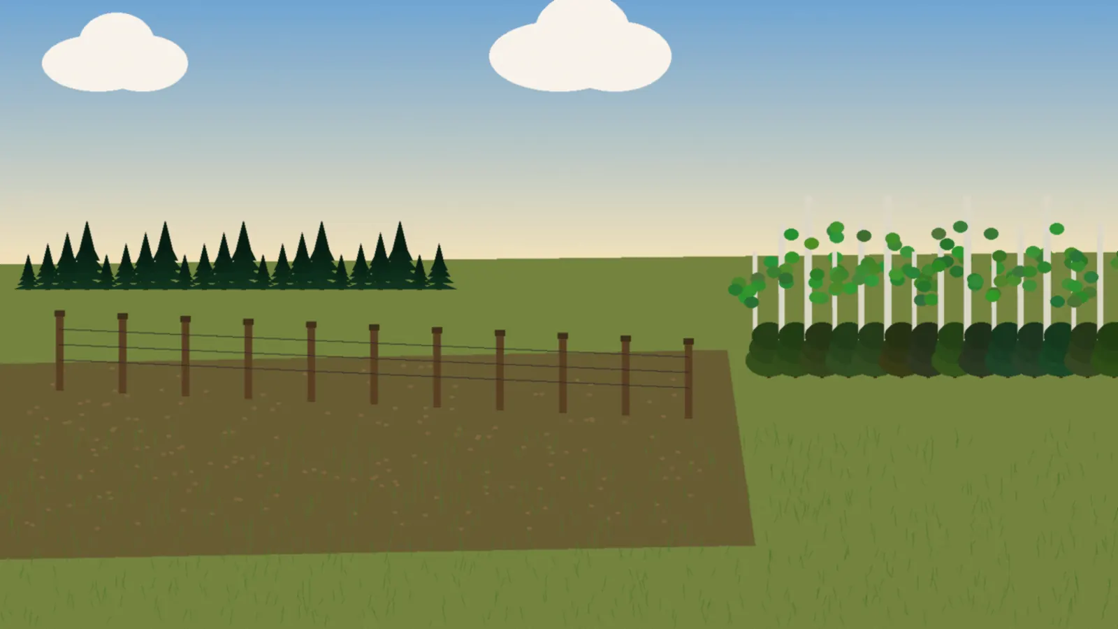 Cleared fence line with posts standing and chips on the ground