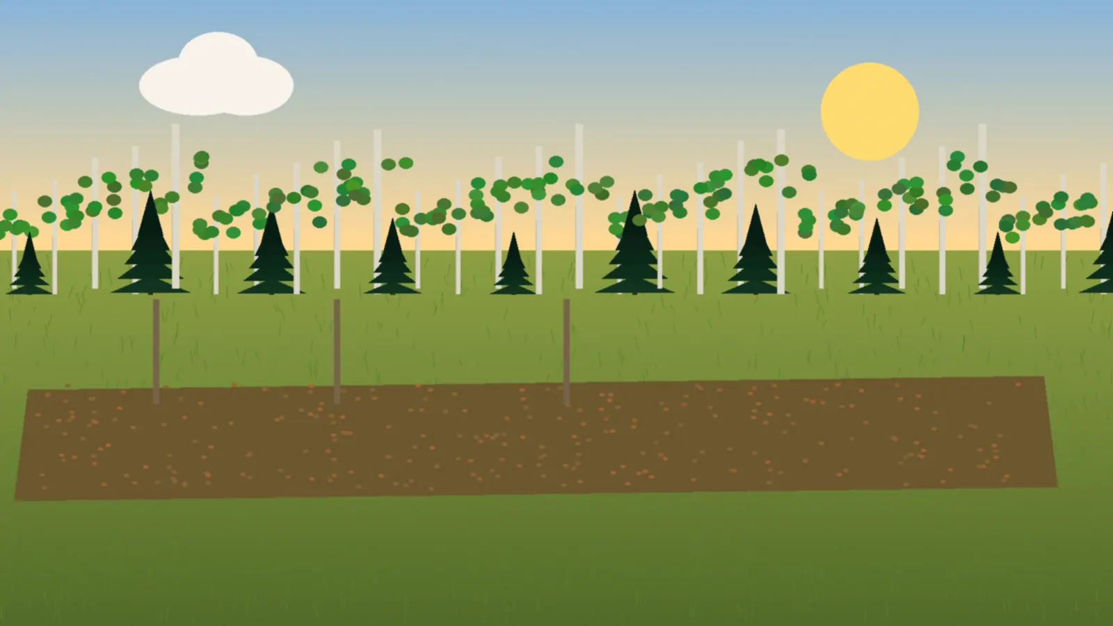 Pasture and aspen bluff on a Wetaskiwin-area quarter